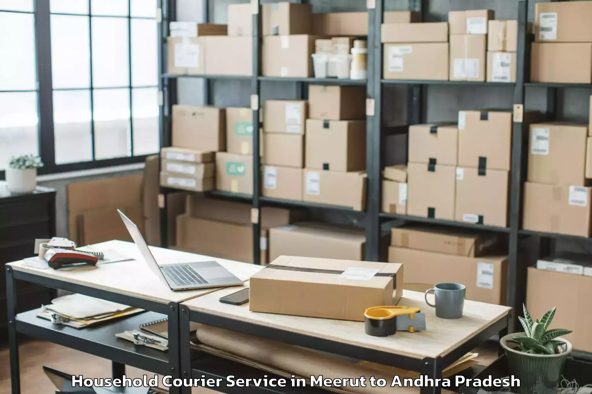 Professional Meerut to Denduluru Household Courier